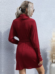 STYLISH PILE-COLLAR LONG SLEEVE SWEATER DRESS