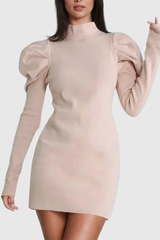 Aletta Stand Collar Ruch Long Sleeve Knit Mini Dress
