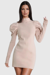 Aletta Stand Collar Ruch Long Sleeve Knit Mini Dress