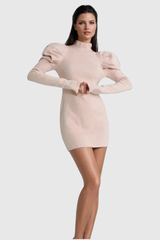 Aletta Stand Collar Ruch Long Sleeve Knit Mini Dress