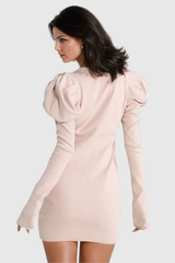 Aletta Stand Collar Ruch Long Sleeve Knit Mini Dress