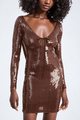 Aoibhe Long Sleeve Sequin Mini Dress In Brown