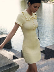 Kurzes Strickkleid mit schmalem Kragen und Metallknopf