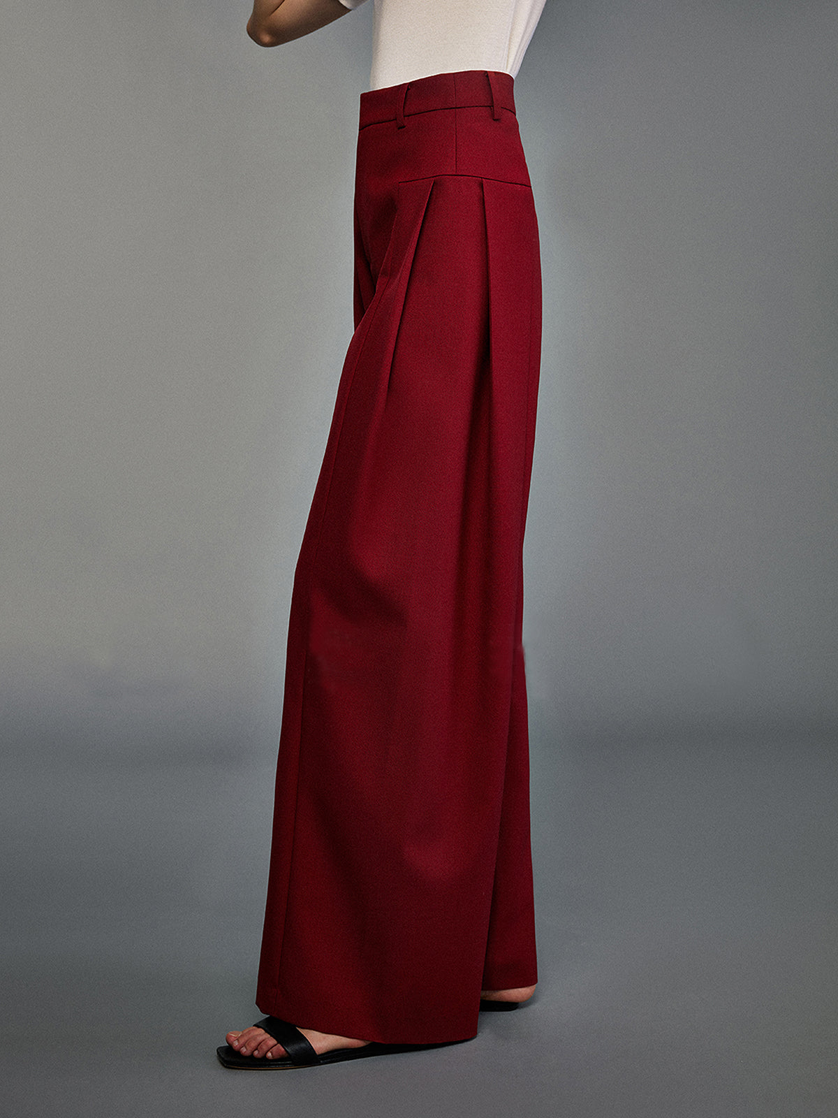 Pleated Wide-Leg Pants