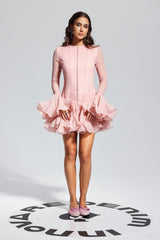 McCarthy – Minikleid aus Netzstoff mit Rüschen in Rosa