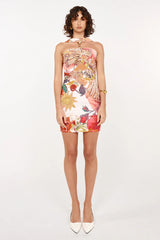 Halter Neck Mesh Printed Stretch Dress
