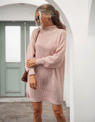 Mid-length raglan sleeve semi-turtle neck skirt