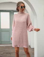 Mid-length raglan sleeve semi-turtle neck skirt