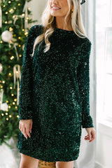 City Lights Sequin Velvet Long Sleeve Shift Mini Dress